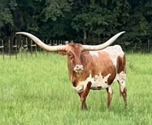 RIVERFORKS OH SO PRETTY